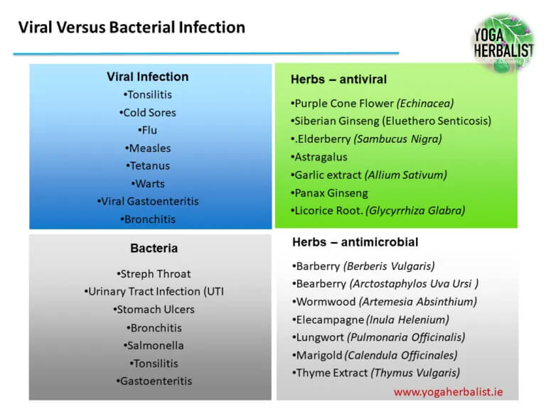 voral versus bacterial infection