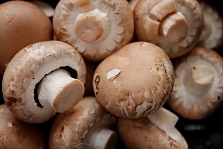 Button Mushroom – Immune Booster & Cholesterol Health.